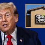 trump-secures-elections-by-putting-voting-booths-in-olive-garden