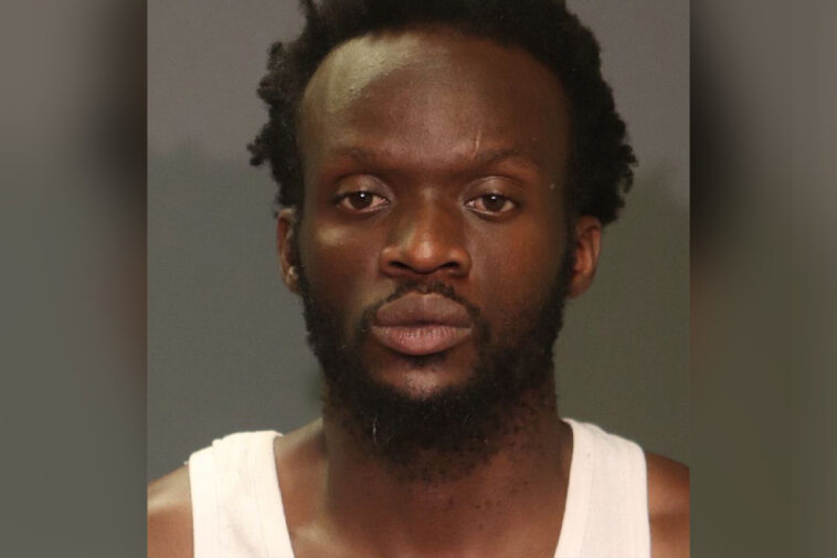 nyc-perv,-35,-busted-for-exposing-self-to-girl,-8,-during-sickening-home-invasion:-cops
