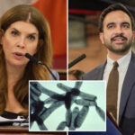 nyc-council-speaker-julie-menin-demands-answers-from-mamdani-after-deadly-legionnaires’-outbreak