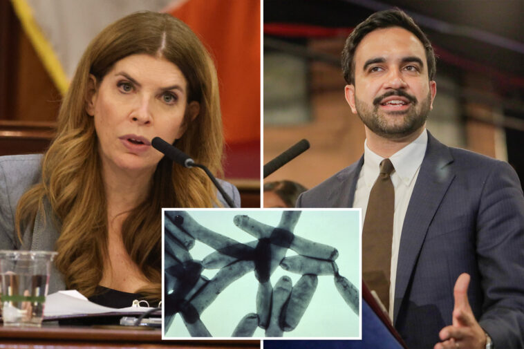 nyc-council-speaker-julie-menin-demands-answers-from-mamdani-after-deadly-legionnaires’-outbreak