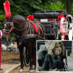 union-for-nyc’s-embattled-horse-carriages-rips-council-speaker-menin-as-traitor-in-new-attack-ad:-‘thank-you-for-your-betrayal’
