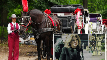 union-for-nyc’s-embattled-horse-carriages-rips-council-speaker-menin-as-traitor-in-new-attack-ad:-‘thank-you-for-your-betrayal’
