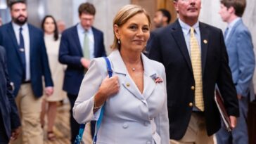 lindsey-graham’s-sister-announces-she’s-running-for-full-senate-term