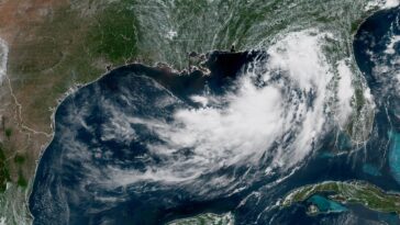 tropical-storm-bertha-drifts-toward-land-as-hurricane-fausto-forms-in-the-eastern-pacific