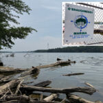 5-dead-after-two-sets-of-parents-rush-into-ohio-river-to-rescue-struggling-swimmer-and-all-drown