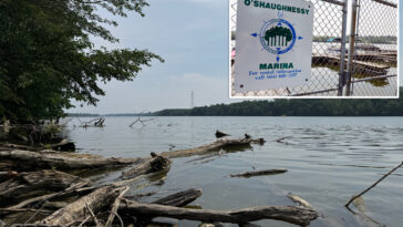 5-dead-after-two-sets-of-parents-rush-into-ohio-river-to-rescue-struggling-swimmer-and-all-drown