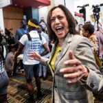 kamala-harris-is-the-‘fairly-obvious’-2028-presidential-frontrunner,-democratic-insiders-say