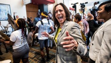 kamala-harris-is-the-‘fairly-obvious’-2028-presidential-frontrunner,-democratic-insiders-say