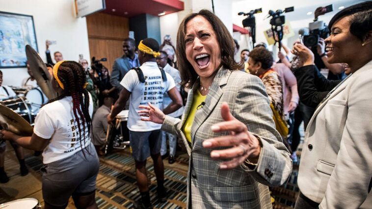 kamala-harris-is-the-‘fairly-obvious’-2028-presidential-frontrunner,-democratic-insiders-say