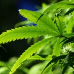 the-common-packing-mistake-that-could-land-you-in-prison