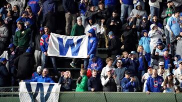 chicago-cubs-fan-slaps-younger-fan-for-not-standing-during-national-anthem-in-viral-video