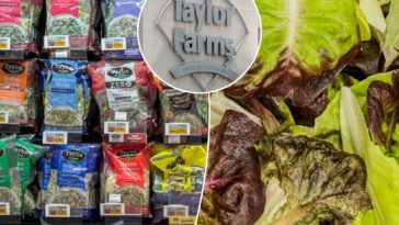 can-we-eat-lettuce-again?-the-truth-about-salad-risk-amid-‘explosive-diarrhea’-parasite-outbreak