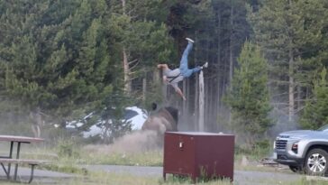 grandfather-attacked-by-yellowstone-bison-speaks-out-from-hospital-bed