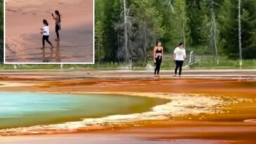 clueless-yellowstone-visitors-spark-outrage-after-trampling-over-park’s-famous-natural-landmark