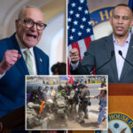 100-dsa,-dem-lawmakers-sign-letter-pushing-chuck-schumer,-hakeem-jeffries-to-hop-on-‘abolish-ice’-bandwagon