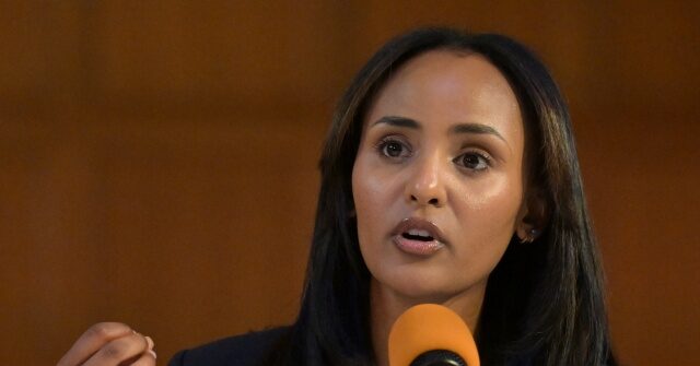 democrat-melat-kiros:-us.-must-elect-more-immigrants-from-‘global-south’-to-challenge-global-world-order