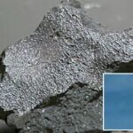 ‘alien-chemistry’-meteorite-that-slammed-nj-home-is-among-rarest-space-rocks-ever-recovered