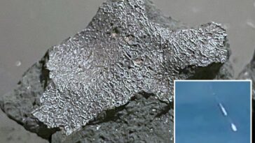 ‘alien-chemistry’-meteorite-that-slammed-nj-home-is-among-rarest-space-rocks-ever-recovered