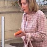 pelosi-dodges-questions-about-her-husband’s-latest-hit-and-run-crash-(video)