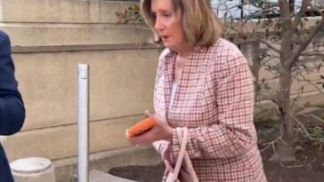 pelosi-dodges-questions-about-her-husband’s-latest-hit-and-run-crash-(video)