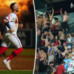 angels-fans-take-tarps-off-to-another-level-in-walk-off-win-vs.-cardinals