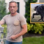 oh-no!-rfk-jr.-eats-jimothy