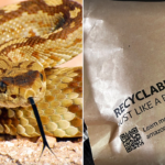 california-toddler-bitten-by-rattlesnake-hiding-beneath-amazon-package-amid-active-snake-season