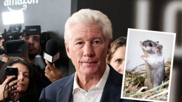 white-house-comms-chief-steven-cheung-trolls-richard-gere-as-‘guy-that-may-have-put-a-gerbil-up-his-ass’