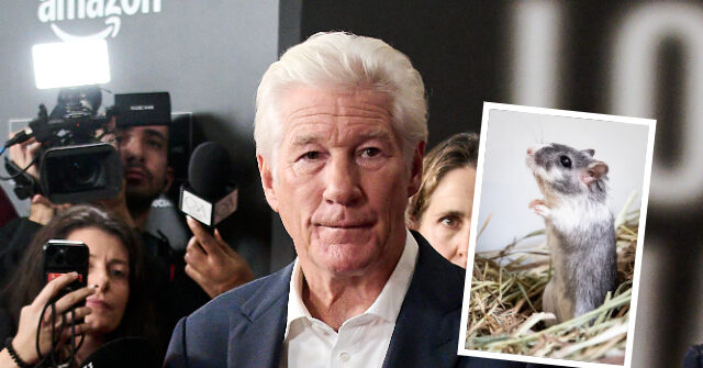 white-house-comms-chief-steven-cheung-trolls-richard-gere-as-‘guy-that-may-have-put-a-gerbil-up-his-ass’