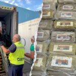$290m-cocaine-haul-found-‘skillfully-concealed’-in-massive-banana-shipment