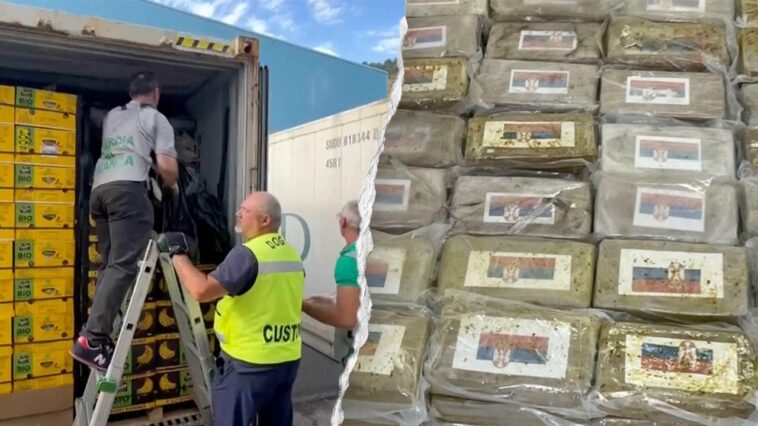 $290m-cocaine-haul-found-‘skillfully-concealed’-in-massive-banana-shipment