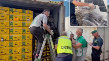 $290m-cocaine-haul-found-‘skillfully-concealed’-in-massive-banana-shipment