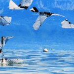 robot-bird-swims-underwater-then-flies-away