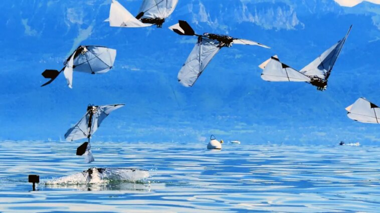 robot-bird-swims-underwater-then-flies-away