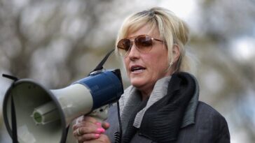 ‘they-woke-up-to-this-construction’:-erin-brockovich-says-she’s-been-flooded-with-ai-data-center-complaints