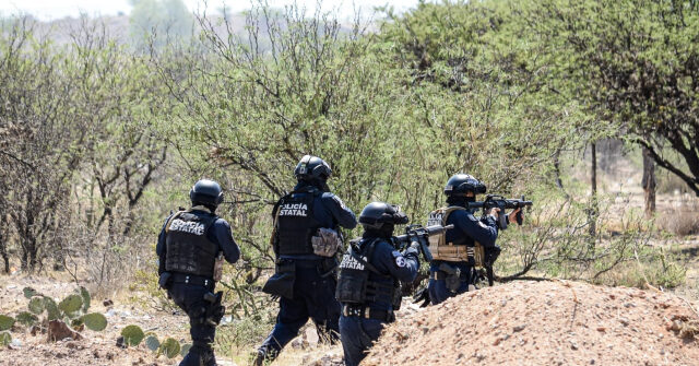cartel-calls-out-mexican-government-corruption-after-hanging-bodies-from-overpass