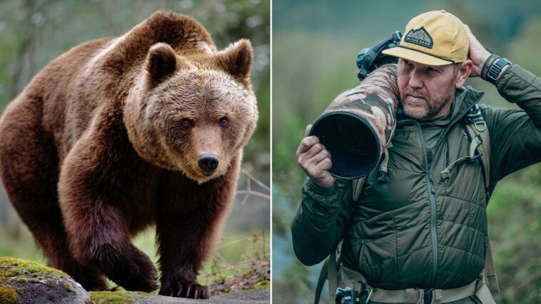 wildlife-photographer-stays-ice-cold-as-massive-brown-bear-walks-right-up-to-his-camera