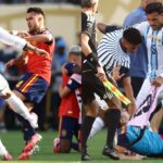 zlatan-critiques-spain’s-failure-to-defend-teammates-after-post-final-brawl