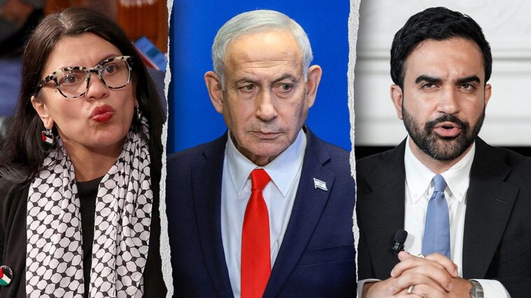 watch:-tlaib-tells-mamdani-to-‘call-me’-for-help-arresting-netanyahu-as-democrats-remain-divided