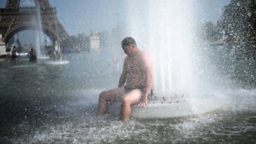 france-had-over-5,700-excess-deaths-during-heatwave