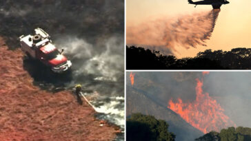horror-as-firefighter-rushed-to-hospital-in-freak-accident-while-battling-fast-moving-little-fire