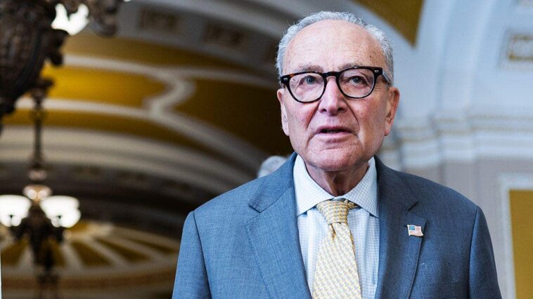 gop-blocks-schumer’s-effort-to-ground-taxpayer-funding-for-trump’s-qatari-air-force-one