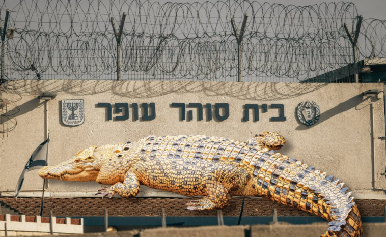 israel-wants-to-surround-hamas-prisoners-with-one-of-the-world’s-most-dangerous-reptiles