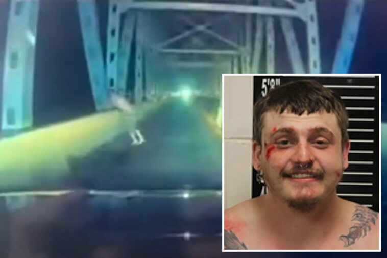 wild-dashcam-video-shows-crazed-motorist-ditch-car,-dive-headfirst-off-bridge-during-police-chase