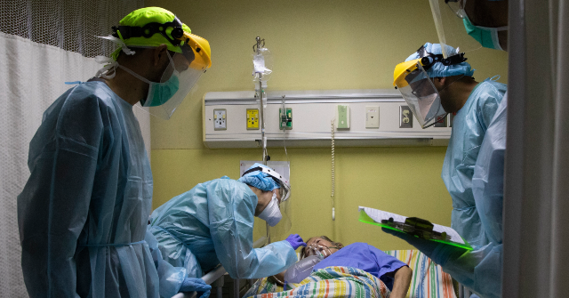 venezuela-confirms-3-hantavirus-related-deaths