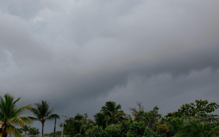 tropical-storm-bertha-makes-landfall,-bringing-flood,-wind-threats