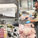 cops-make-wild-discovery-inside-lax-suitcase-coming-from-thailand