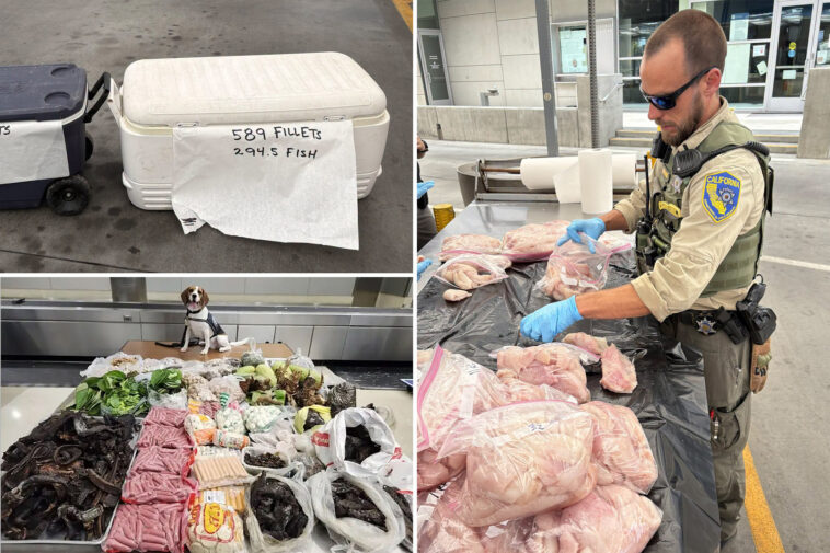 cops-make-wild-discovery-inside-lax-suitcase-coming-from-thailand