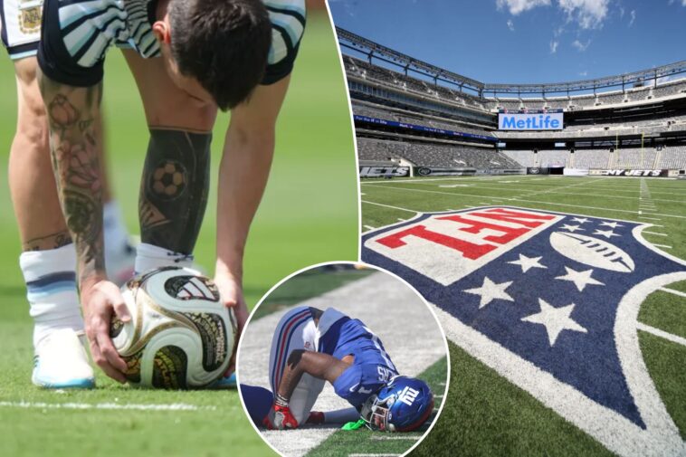 nfl-players-reignite-grass-fields-push-after-mountains-moved-for-world-cup:-‘slap-in-the-face’