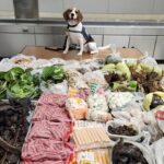 border-k9-sniffs-out-99-pounds-of-prohibited-meat,-plants-and-monitor-lizard-in-suitcase-from-thailand